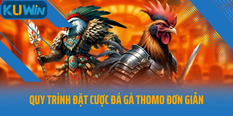 Quy trình đặt cược đá gà Thomo đơn giản