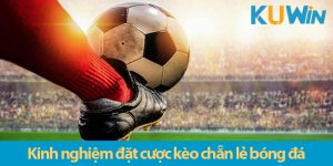 Cách chơi kèo chẵn lẻ chuẩn cho anh em cược thủ trên KUWIN